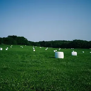 Maoiq ヴィラ